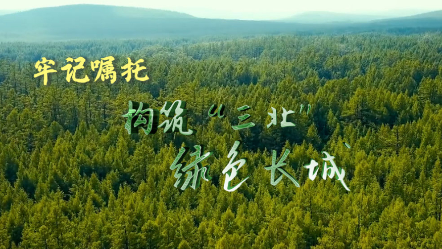 牢記囑托 構筑“三北”綠色長城